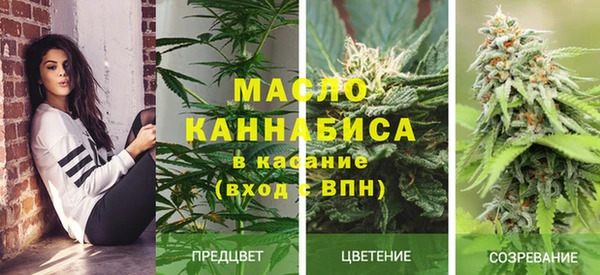 apvp Горняк