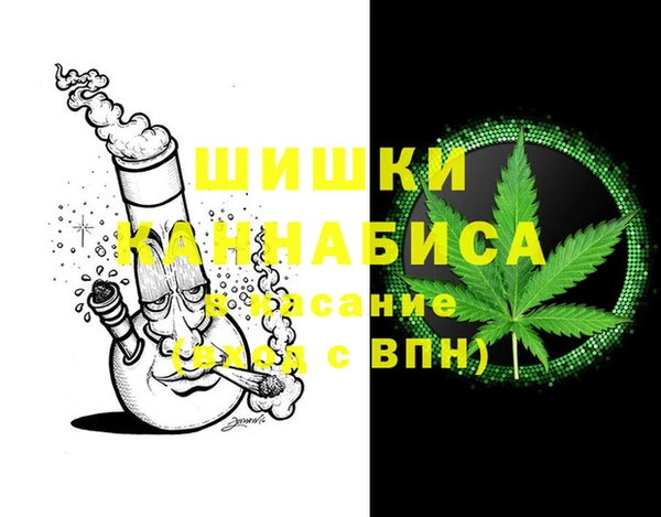 apvp Горняк