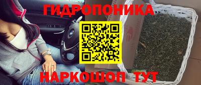 гашик Нягань