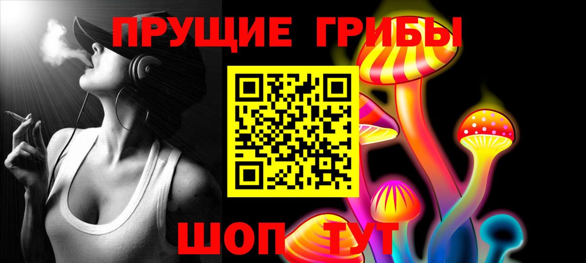 Тюмень  Псилоцибиновые грибы Psilocybine cubensis  Вход с VPN 