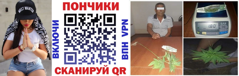 Бошки марихуана Bruce Banner  закладки  KRAKEN ссылки  Тюмень 